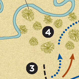 5W Samples - Custer Map