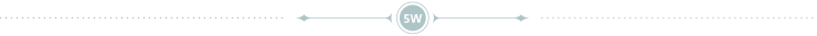 5W Infographics Logo Separator